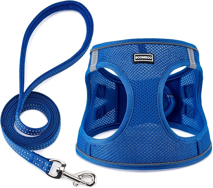 BOOMIBOO Dog Harness with Leash Set, No Pull Adjustable Reflective Step-in Puppy Pet Vest Harnesses for Small Medium Large Dogs and Cats,Blue XXS