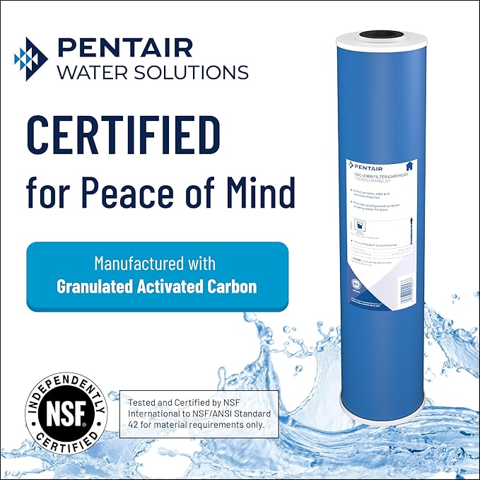 Pentair Pentek GAC-BB Big Blue Carbon Water Filter, Whole House Heavy Duty