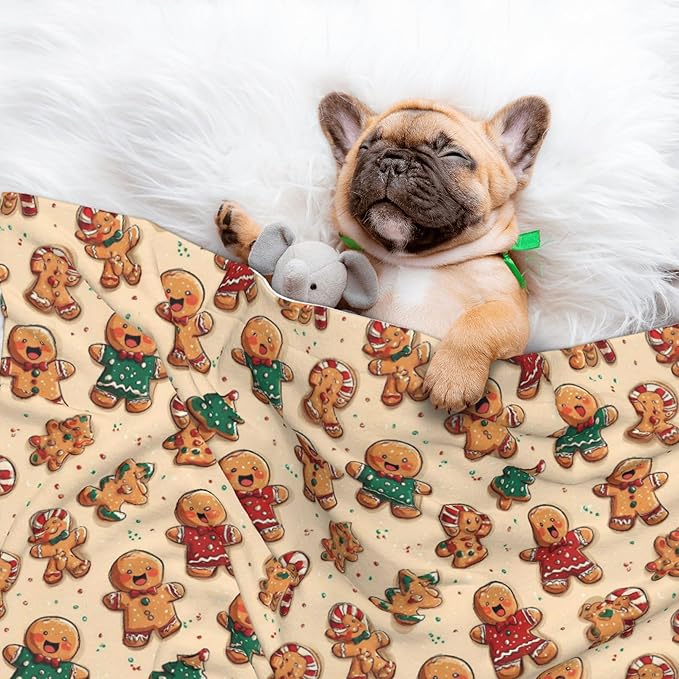 Waterproof Dog Blanket Soft Pet Blanket for Puppy Cat, Fleece Cat Throw Blankets for Furniture Bed Couch Sofa Reversible - Christmas Gingerbread 5