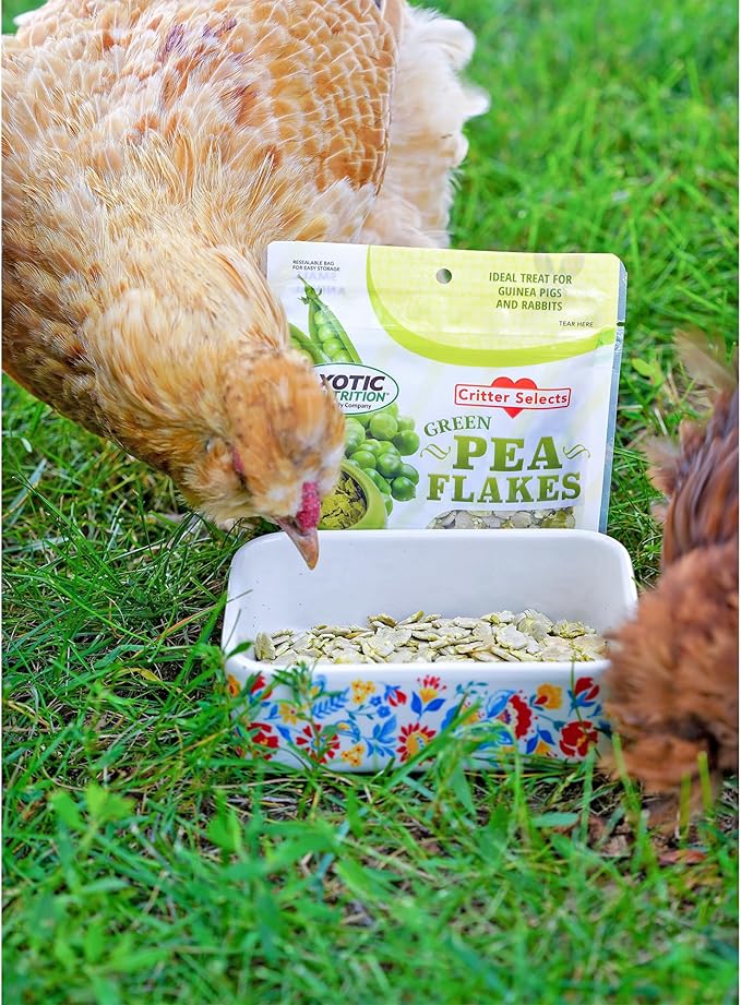 Exotic Nutrition Green Pea Flakes 3oz. - Healthy & Unique Treat - Rat, Degu, Prairie Dog, Chinchilla, Hedgehog, Parrot, Guinea Pig, Rabbit, Hamster