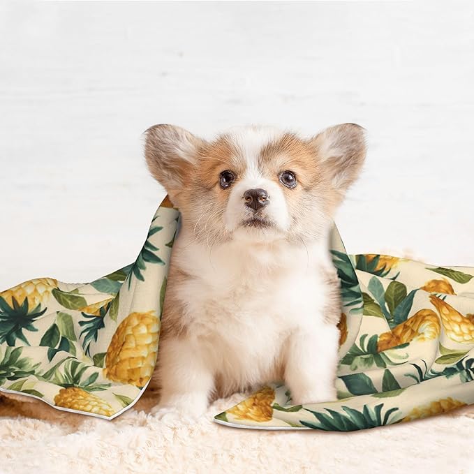 Waterproof Dog Blanket Soft Pet Blanket for Puppy Cat, Fleece Cat Throw Blankets for Furniture Bed Couch Sofa Reversible - Pineapple