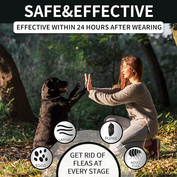 4 Pack Flea & Tick Protection for Dogs, 32-Month Waterproof Adjustable Repellent Collar, Long-Lasting Pest Prevention for Small Medium Large Breeds, Black