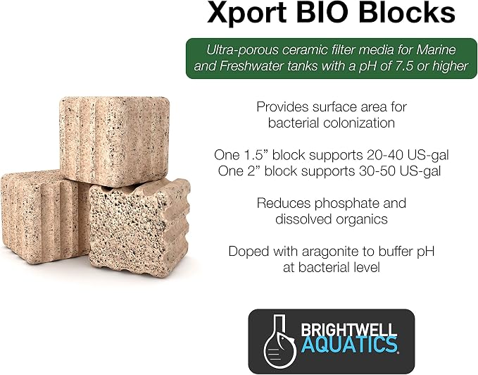 Brightwell Aquatics Xport-BIO Block