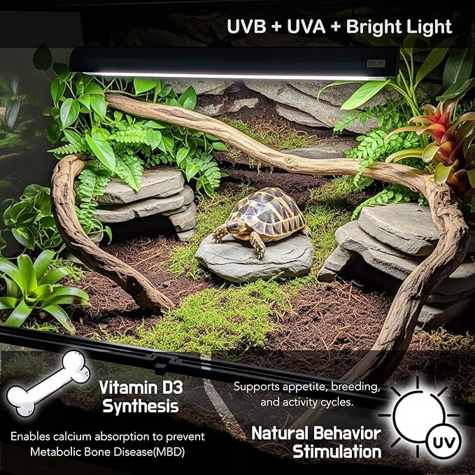 Upgraded T5 UVB Reptile Light, 10.0 UVB 8W German Made Fluorescent Lamp and Fixture Kit, for Desert-Dwelling Reptiles, Bearded Dragon,Tortoise, Snake, Strip Linear UVB Lamp Bulb