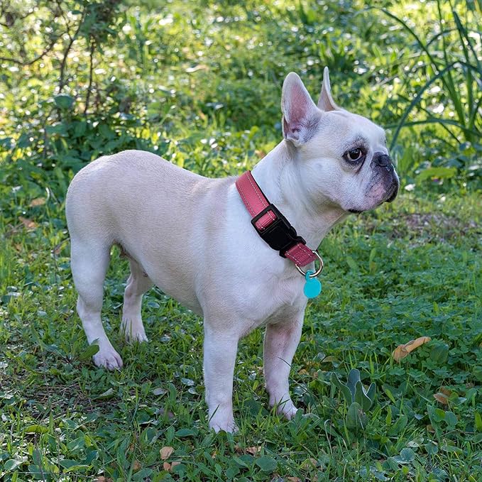 Reflective Dog Collar Padded with Soft Neoprene Breathable Adjustable Nylon Dog Collars for Small Medium Large Dogs (Medium (Pack of 1), Pink Collar+Leash)