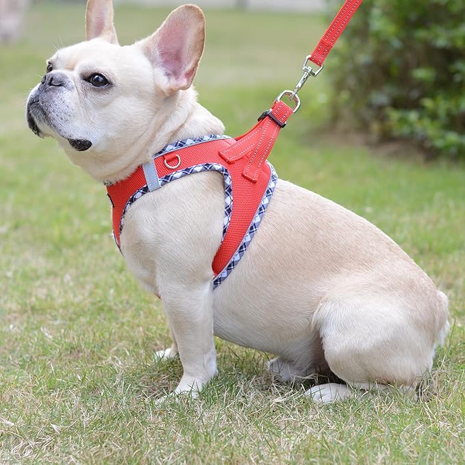 Mercano Soft Mesh Dog Harness and Leash Set, No-Chock Step-in Reflective Breathable Lightweight Easy Walk Vest Harnesses with Safety Buckle for Small Dogs, Cats (Red, XXS)