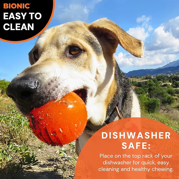 BIONIC Ball Dog Toy, Medium - Interactive Dog Chew Toy That Stands Up to The Toughest Chewers, for Dogs Between 15-35 lbs. (7-15 kg.)