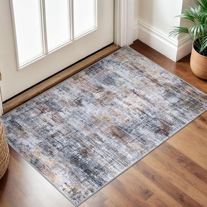 IOHOUZE Small Abstract Area Rug 2x3 Ft Entryway Rugs Washable Door Mat Indoor