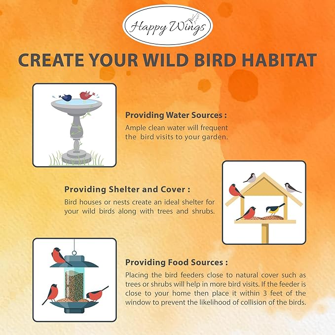 Nyjer/Thistle Seeds Wild Bird Food - 5 Pounds I No Grow Seed I Bird Seed for Wild Birds