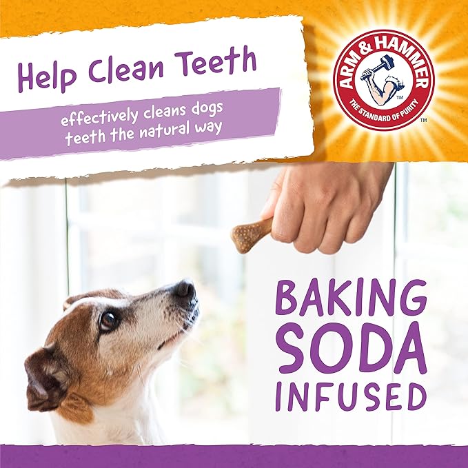 Arm & Hammer for Pets Chew Toy and Dentral Treats for Dogs | Bundle Includes 1 Gorilla Chew Toy and 20 Pc Peanut Butter Nubbies Flavor Dog Treats | Reduce Plaque & Tartar | Safe for Dogs up to 35 Lbs