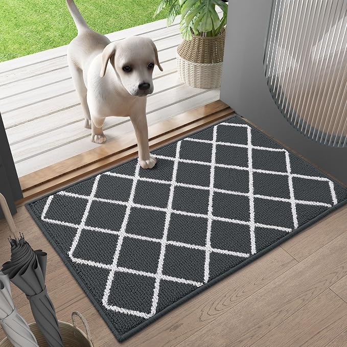 Finchitty Indoor Door Mat, Dirt Resistant and Absorbent, Low-Profile, Washable