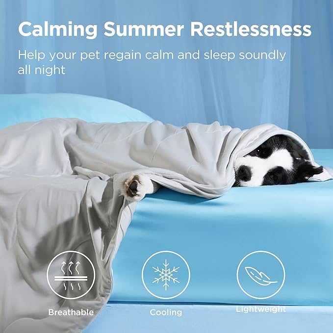Bedsure Cooling Blanket for Bed with Breathable Air-Core Fill Q-MAX>0.4 - Lightweight Pet Cat Throw Cold Blanket Washable for Summer，Soft Dog Cooling Mat for Couch, Pearl Grey, 60x80