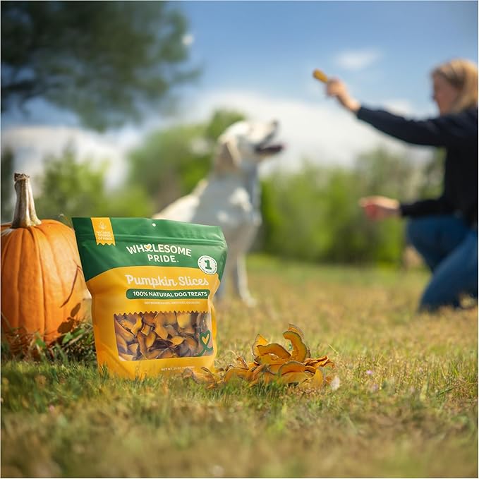 Wholesome Pride Pumpkin Slices Dog Treats – Single Ingredient, Dehydrated, All Natural, 20 oz