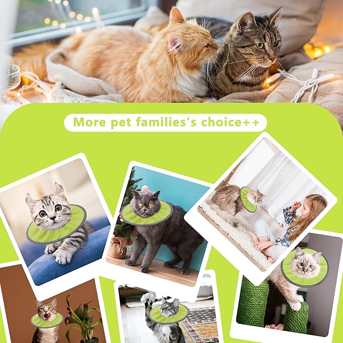 Lightweight Cat Cone Collar Soft, Soft Comfortable Cat Recovery Collar After Surgery, Elizabethan E Collar for Cats, Cone for Cats to Stop Licking (Water Green, Small)