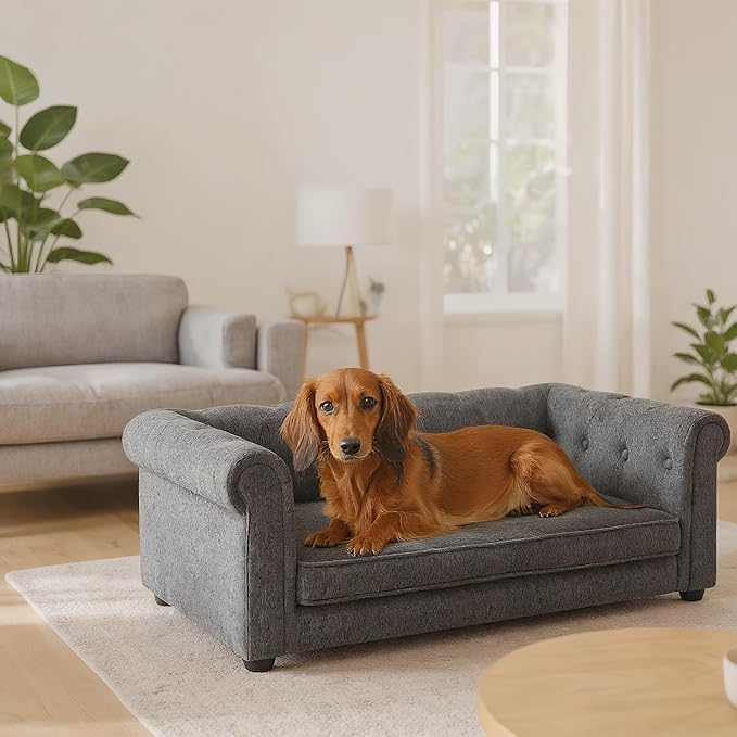 Elevated Dog Sofa with Backrest and Armrests, Button Tufted Dog Couch Bed with Soft Cushion for Medium Dogs, Stylish Lounging Bed Pet Couch Chair, 60Lbs Weight Capacity, Dark Gray