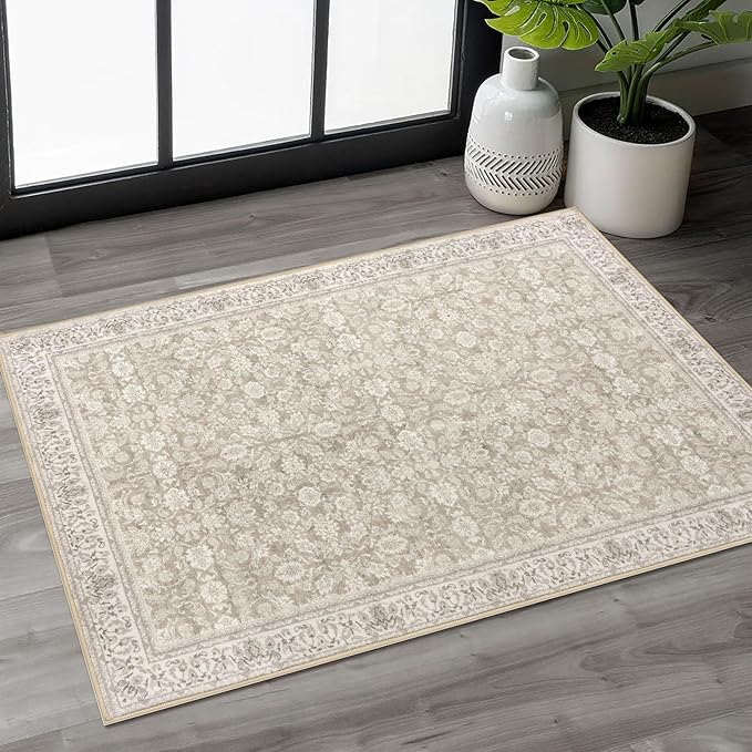 SIILOOM 2x3 Washable Rug Soft Area Rug