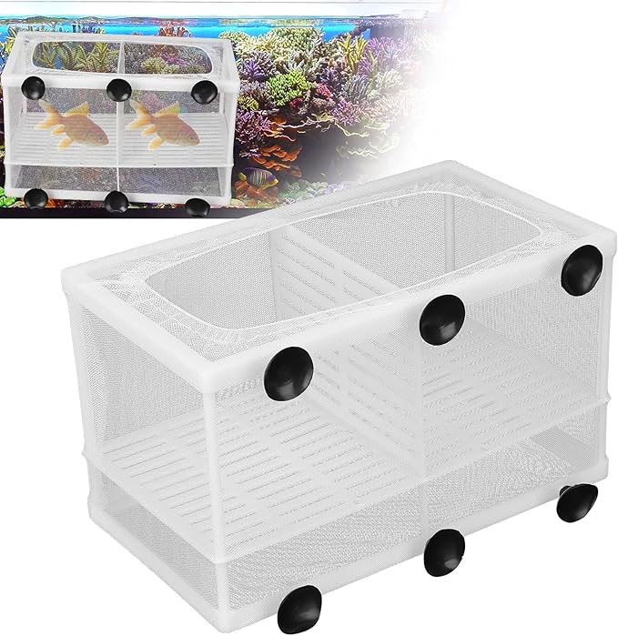 Fish Breeder Box, Fish Isolation Boxes with Suction Cups Hatching Incubator Isolation Box for Small Fishes Hatchery(L with Partition)