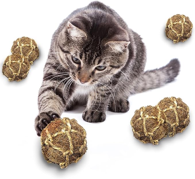 SunGrow Assorted Rabbit & Cat Chew Balls, Teething Activity Toy for Pocket Pets, Improves Dental Health, Environment Friendly, Stress Reliever (Coco Fiber, 6 Pcs)