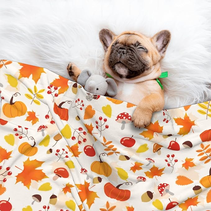 Fall Blanket for Dog Cat - Pumpkin Mushroom Throw Blanket 30x20 Halloween Autumn Pet Blanket for Couch Sofa Bed