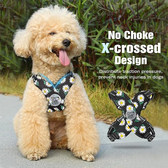 Pawaboo Small Dog Harness and Leash Set, Puppy Harness X-Frame No Pull No Choke, Dog Vest Harness Adjustable for Small Medium Sized Dogs,Soft Breathable Pet Harness for Walking Outing, S, Black Daisy