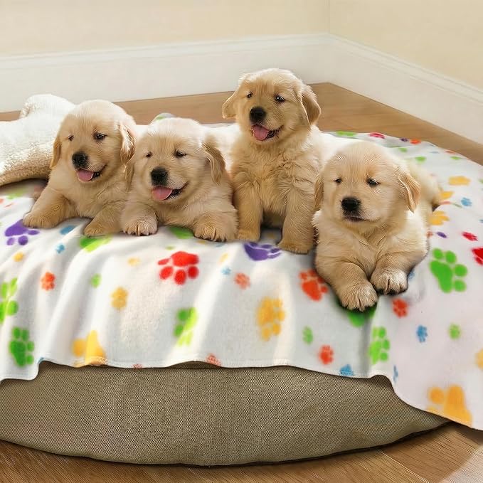 LINENLUX Cute Dog Blanket for Small Medium Dogs 6-Pack Soft Stretchy Fleece Blankets for Pet Cat Puppy Warm Wrinkle-Resistant Throw for Couch Bed Outdoor White 45x31 inch (Pack of 6)