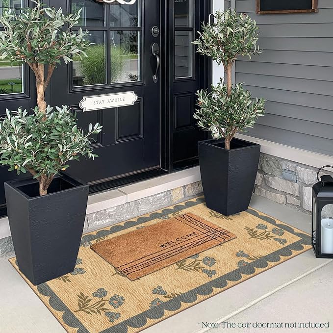 Front Door Mat Indoor Entrance