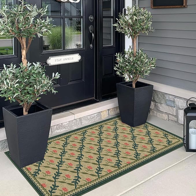 Front Door Mat Indoor Entrance