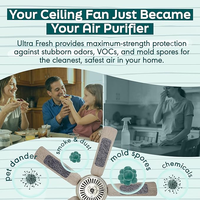 Barnakl Ultra Fresh Ceiling Fan Filters | Made
