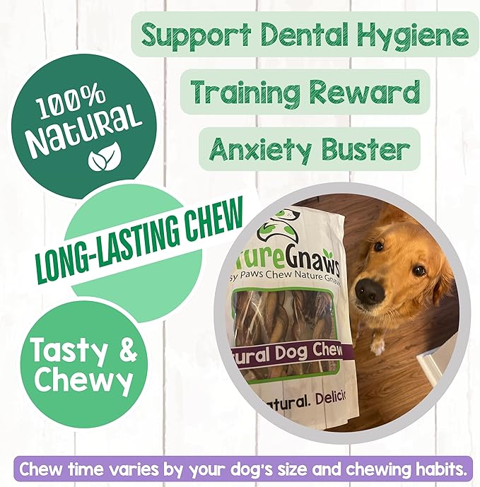 Nature Gnaws Braided Pork Bully Sticks for Dogs 5-6" (20 Count) - Long Lasting for Small and Medium Dogs - Natural Bacon Dog Chew Treats - Rawhide Free