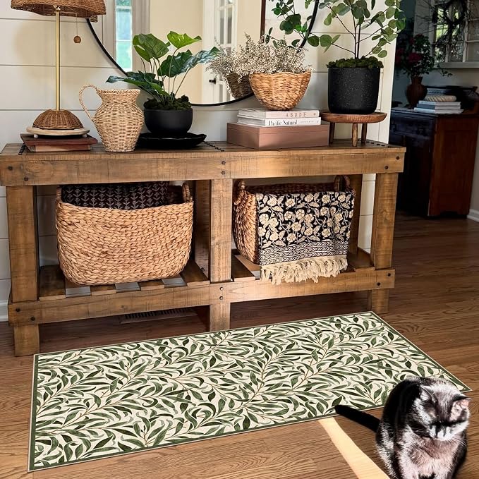 Front Door Mat Indoor Entrance