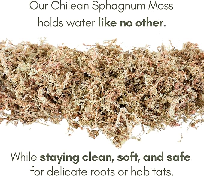Mossify Premium Sphagnum Moss for Plants 5kg, 11 lbs - Long Fiber Moss for Plants Indoor, Orchids, Terrariums, Gardening, Reptiles – Moisture Plant Moss for Propagation, Soil & Habitat Bedding