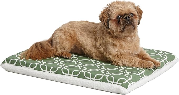 MidWest Homes for Pets Quiet Time Teflon Defender Dog Beds; Pet Beds Designed to Fit Folding Metal Dog Crates, Green & White Geometric Pattern, 24-Inch