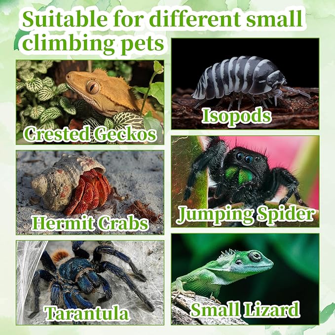 6 PCS Crested Gecko Food and Water Bowl, Reusable Silicone Reptile Feeding Cups for Lizard Anoles Bearded Dragons Tank Terrarium Accessories Supplies for Tortoise, Crab and Small Pet 6 Colors