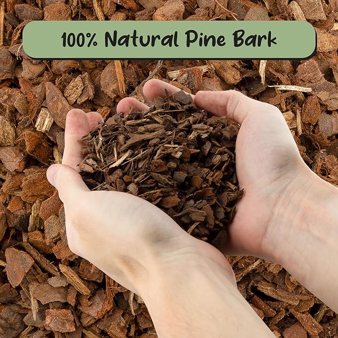 Soil Sunrise 100% Organic Orchid Potting Bark (4 Quarts) All-Natural USA-Sourced Pine Bark Orchid Mix Additive