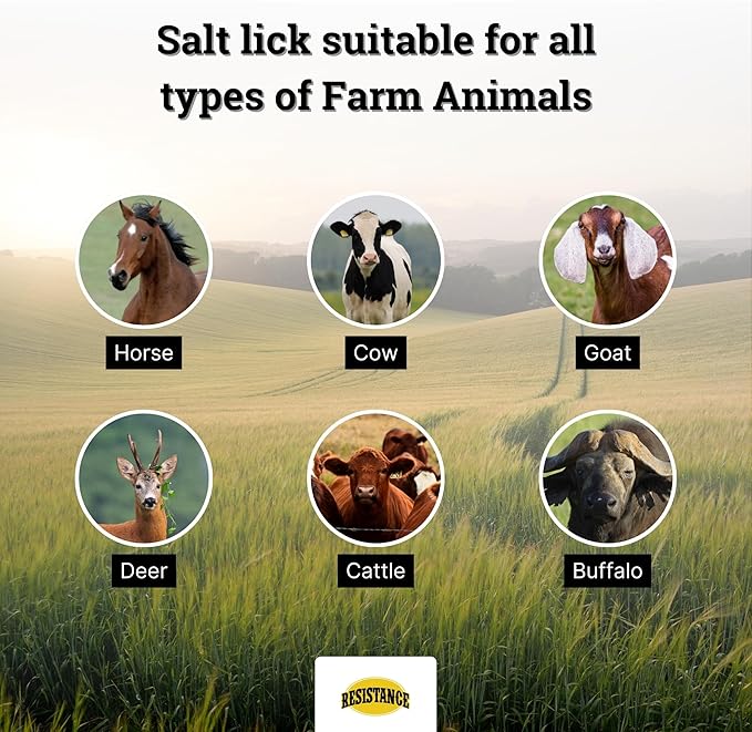 RESISTANCE Himalayan Salt Lick 2lb Block on Rope for Horses, Cattle, Deer, Goats, and Livestock – Pack of 4 Blocks