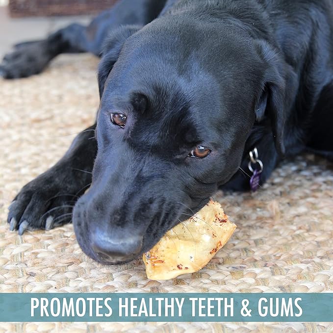 Wild Eats Water Buffalo All Natural Dusted Ear Dog Chews, Single Ingredient Treat - 20 Count (Grain Free Treats - Great Alternative to Pig Ears, Cow Ears, Bones & Rawhides for Dogs)