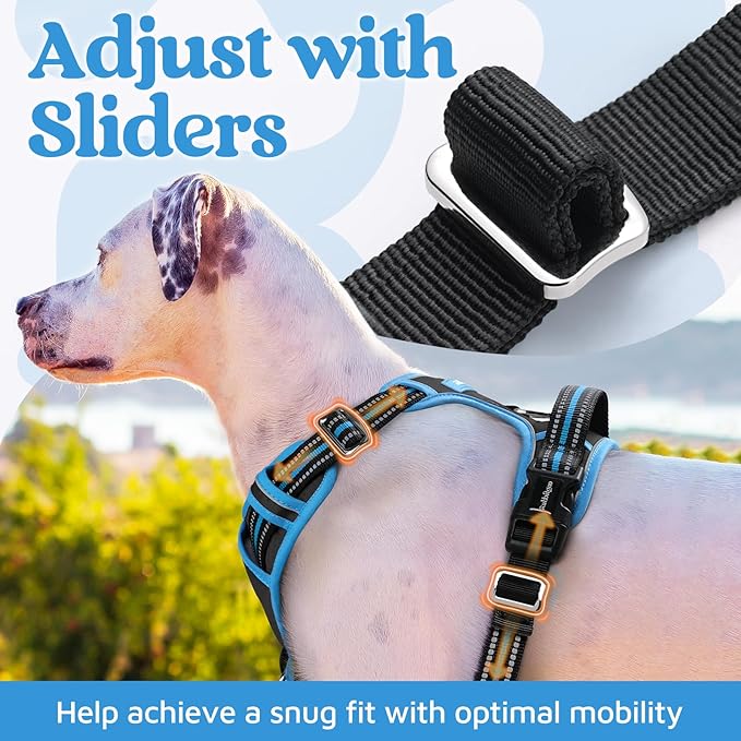 rabbitgoo Dog Harness Medium Sized, No Pull Dog Vest with 3 Buckles, Adjustable Soft Padded Pet Harness with Easy Control Handle and Reflective Strips, Black & Sky Blue, M