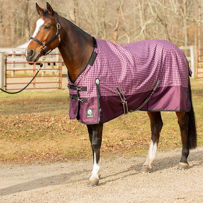 Equinavia Norse Lightweight 100g Fill Horse Rain Blanket | Waterproof Turnout Sheet - Black - 66 in - Plum Wine/Orchid Haze - 66 in