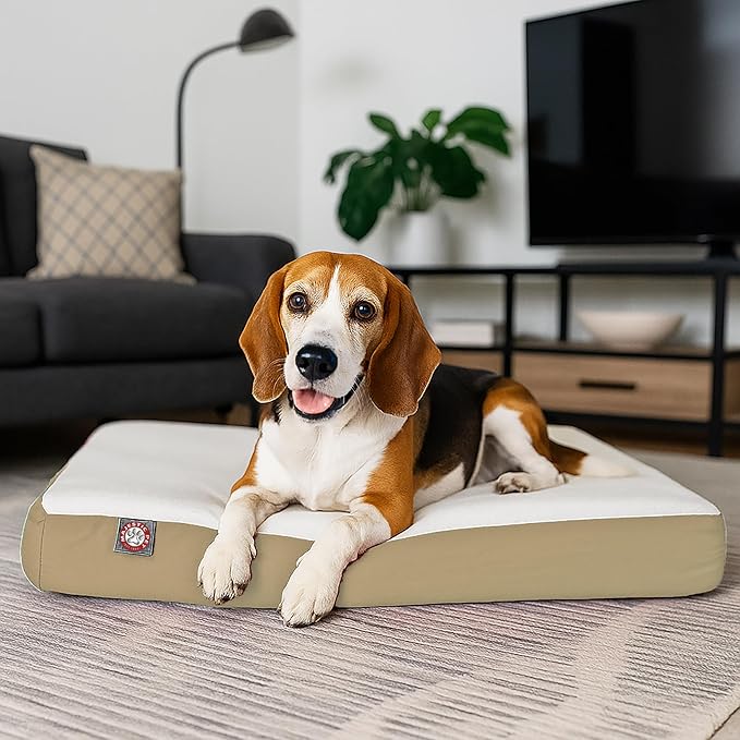 Majestic Pet 34x24x3 Inch Khaki Orthopedic Memory Foam Rectangle Dog Bed – Medium Size Crate Dog Bed for Dogs with Joint Pain, Arthritis – Durable Pet Mattress with Egg Crate Foam, Washable Cover