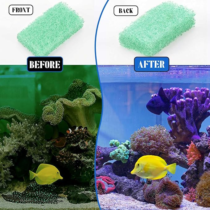 12 Pcs Phosphate Remover Inserts Compatible