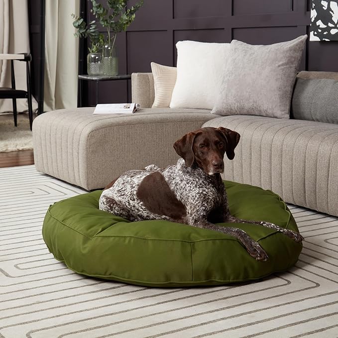 Gordie Round Indoor/Outdoor Pillow Style Dog Bed, Juniper, Large