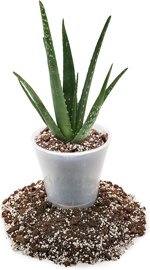 GARDENERA Premium Aloe Vera Potting Soil Mix - (3 Quart Bag)