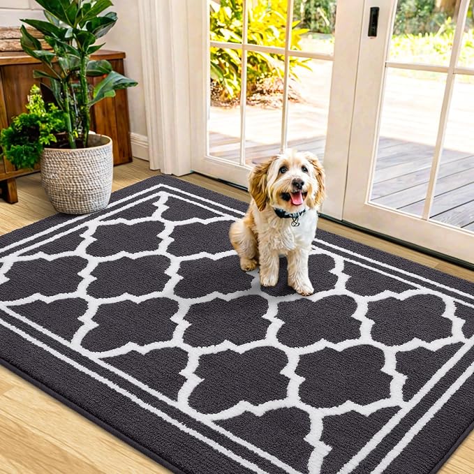 Buganda Indoor Door Mat, Dirt-Resistant and Absorbent Doormat, Low Profile