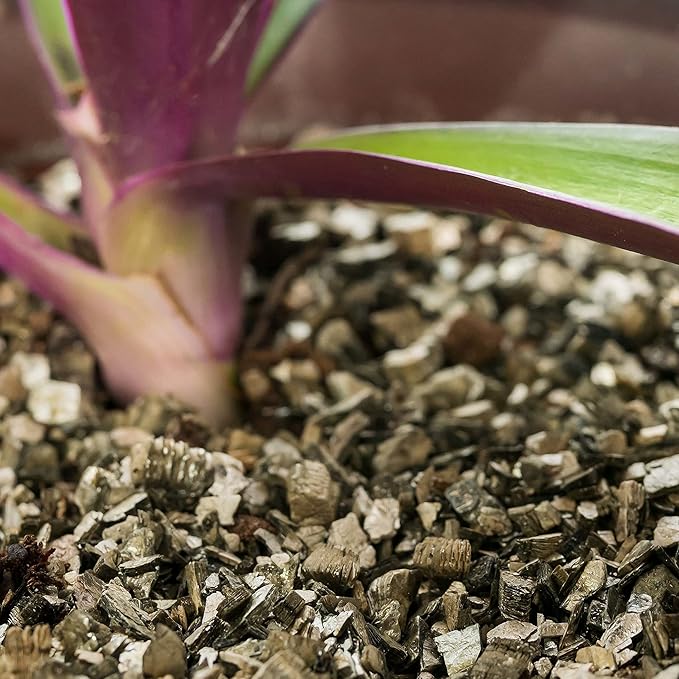 Gardenera Zamioculcas Potting Mix - Unlock Robust Growth and Striking Leaves with Our High-Performance Formula - 20 Quart