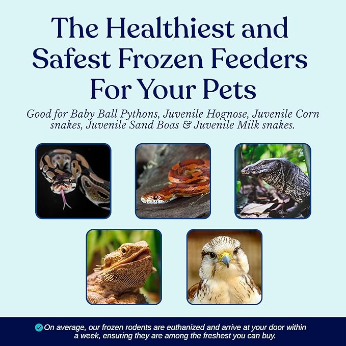 MiceDirect Frozen Pinkie Rat Food for Corn, Rat, King Snakes & Other repitles. (20 Count)