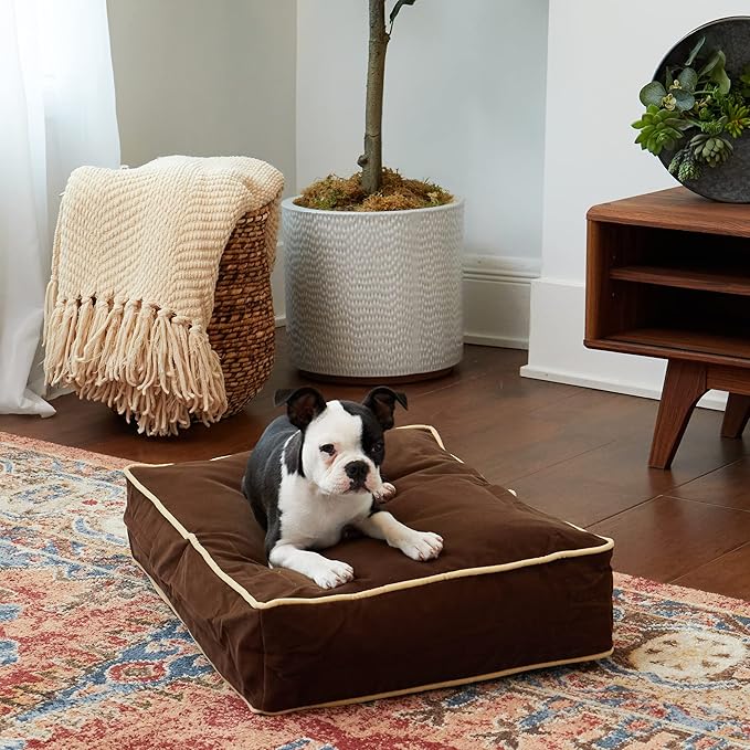 South Pine Porch Buddy Reversible Rectangle Pillow Style Microfiber Dog Bed with Removable, Machine-Washable Cover, Cocoa, Extra Small (24 in. x 18 in.)