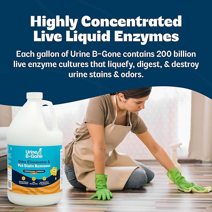 Urine B-Gone, Professional Enzyme Odor Eliminator & Pet Stain Remover, Human, Cat & Dog Urine Cleaner, Effective on Laundry, Carpets & More, Citrus Scent, 1 Gallon