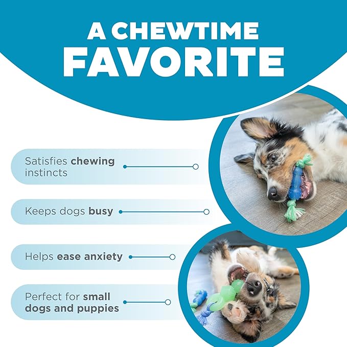 Outward Hound Pupstages Mini Dentachew Pack Dental Chew Toy, Multi-Textured, Fetch & Tug Rope, Puppies & Small Dogs, 7", 3-Pack