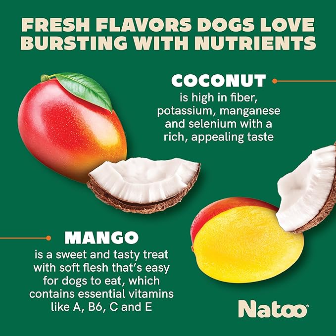 NATOO Biscuits for Small Dogs & Puppies - Crunchy Treats Coconut & Mango – Healthy Natural Dog Biscuits, Rich in Omega 6, Prebiotics & Fiber, Antioxidants for Immunity (8 oz)