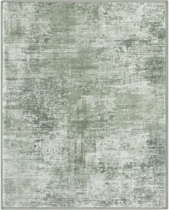 IOHOUZE Abstract Area Rug 4x5 Ft Washable Rugs